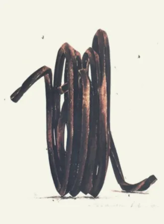 Múltiplo Venet - Two Undetermined Lines