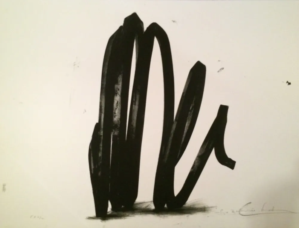 Serigrafia Venet - Undetermined Line