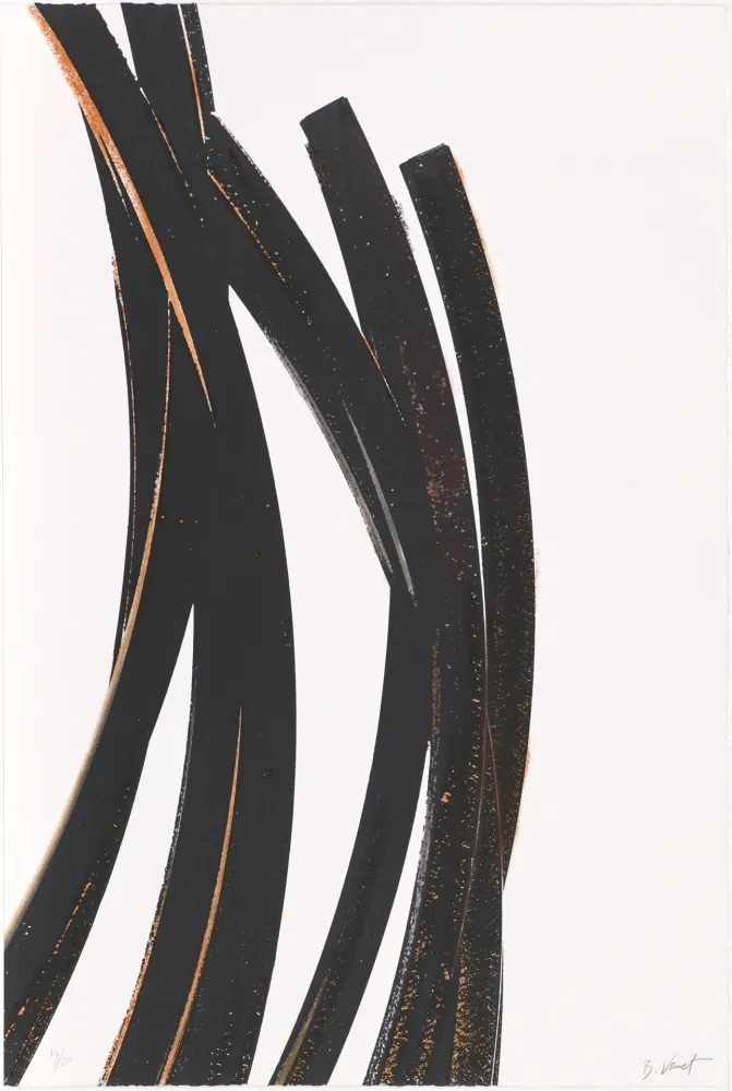 Serigrafia Venet - Untitled IV (Arcs)