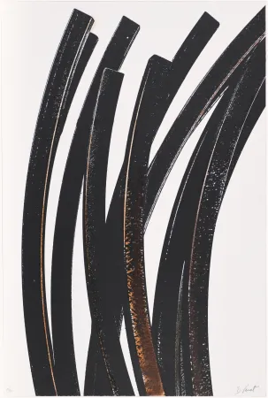 Serigrafia Venet - Untitled VII (Arcs)