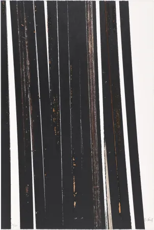 Serigrafia Venet - Untitled X (Lignes droites)