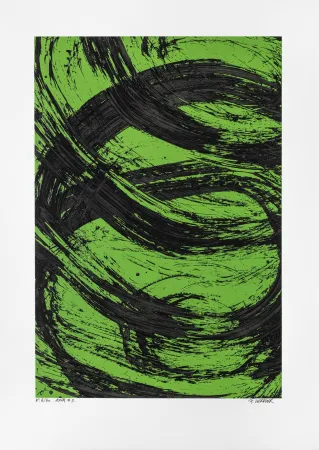 Sem Técnica Verdier - Aria 09