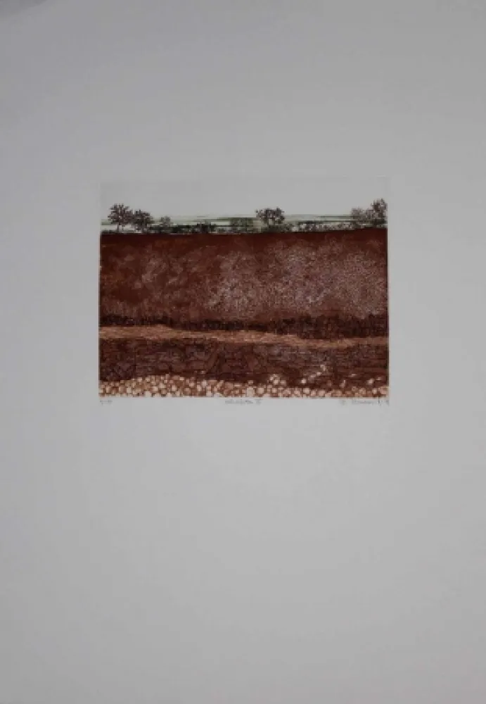 Água-Forte E Água-Tinta Vernunft - Schichten III