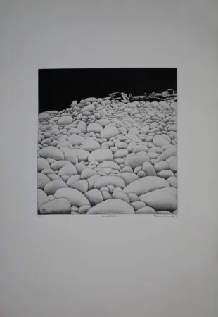 Água-Forte E Água-Tinta Vernunft - Steinblüten