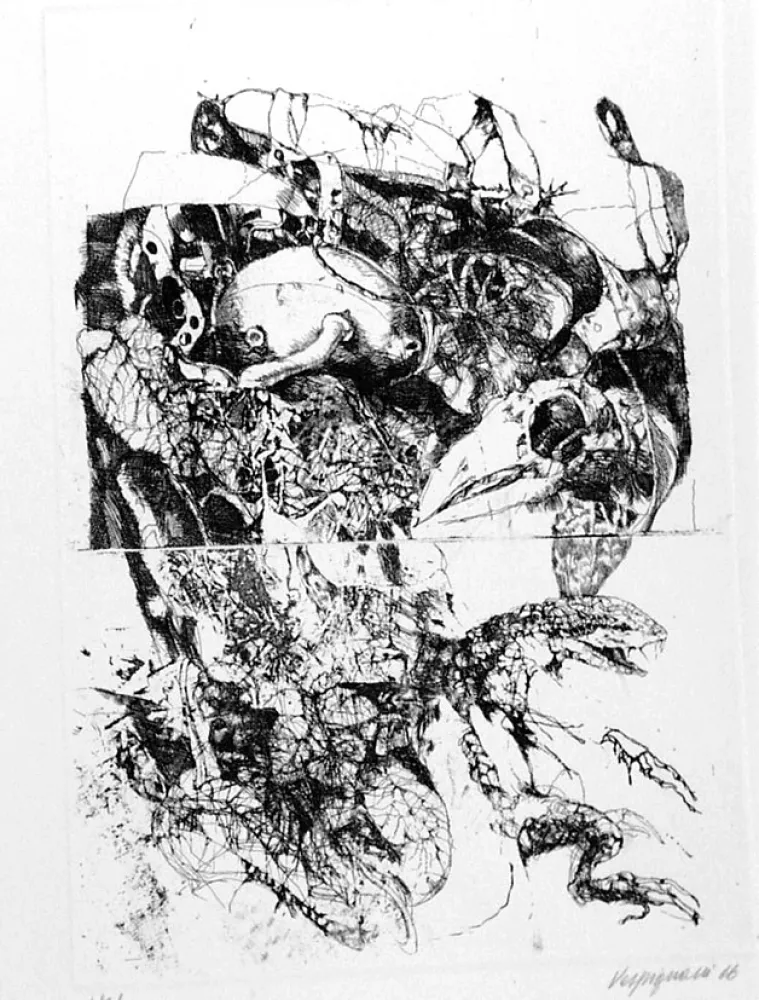 Água-Forte Vespignani - Rifiuti