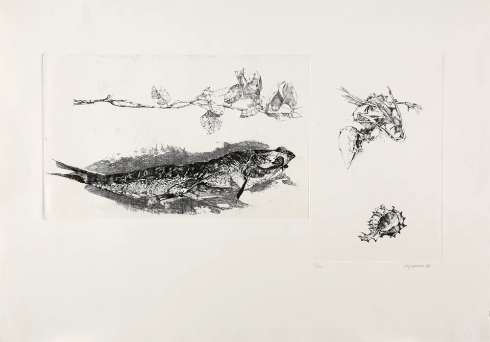 Gravura Vespignani - Studi