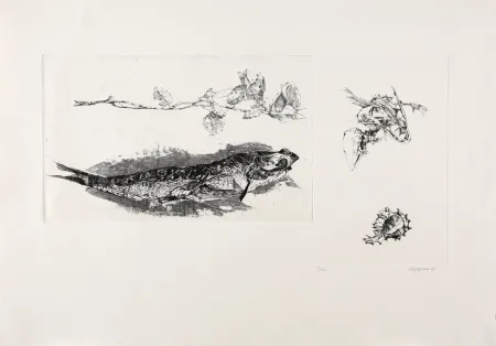 Gravura Vespignani - Studi