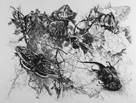 Água-Forte Vespignani - Zibaldone (Per Leopardi)