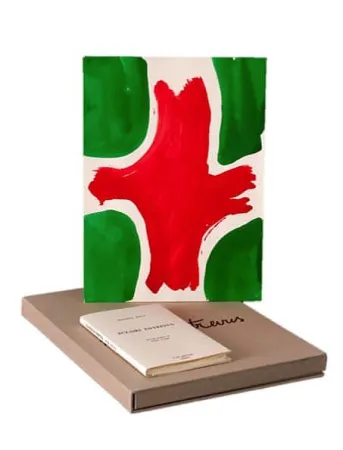 Livro Ilustrado Viallat - ECLAIRS ENTREVUS, 1991