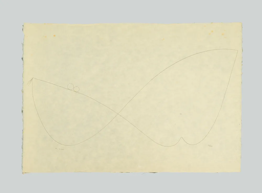 Litografia Viani - Composizione