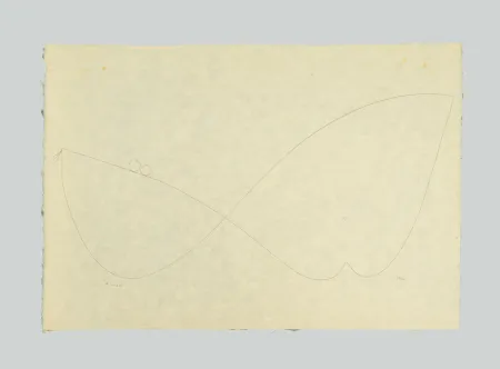 Litografia Viani - Composizione