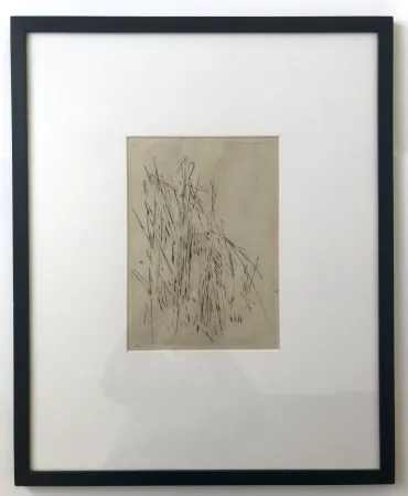 Gravura Vieira Da Silva - Les roseaux