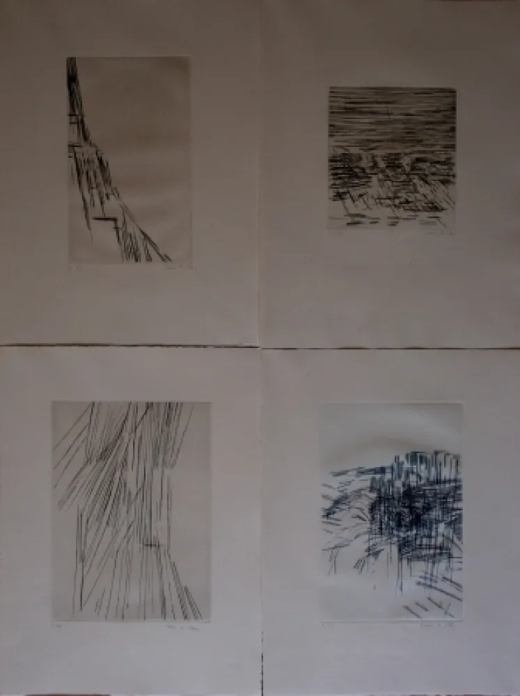 Livro Ilustrado Vieira Da Silva - Poésies