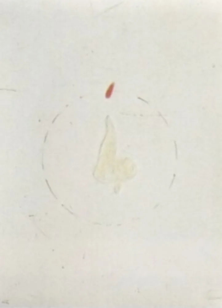 Litografia Viladecans - Entrebanc 19