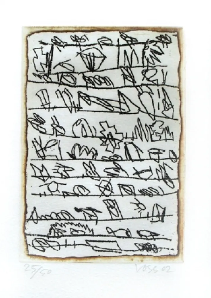 Livro Ilustrado Voss - La dispersion