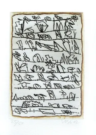 Livro Ilustrado Voss - La dispersion