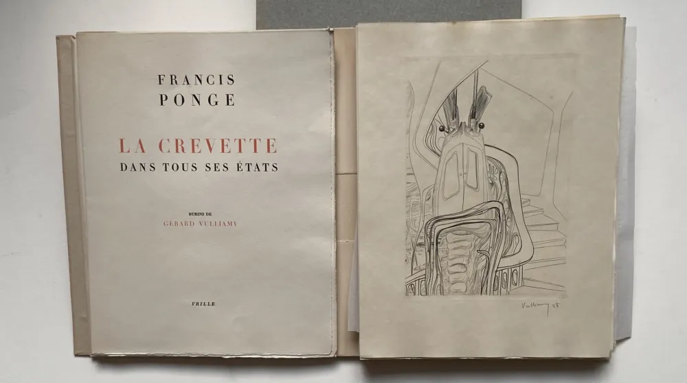 Livro Ilustrado Vulliamy - LA CREVETTE DANS TOUS SES ETATS
