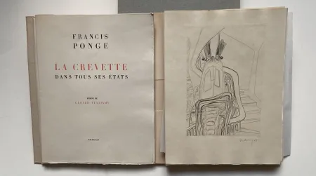 Livro Ilustrado Vulliamy - LA CREVETTE DANS TOUS SES ETATS