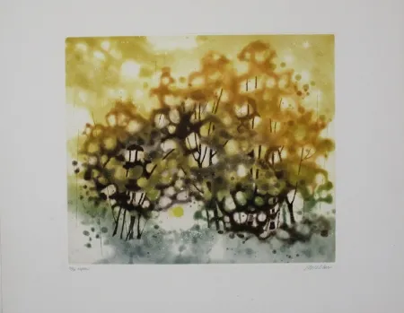 Água-Forte E Água-Tinta Walker - Aspen