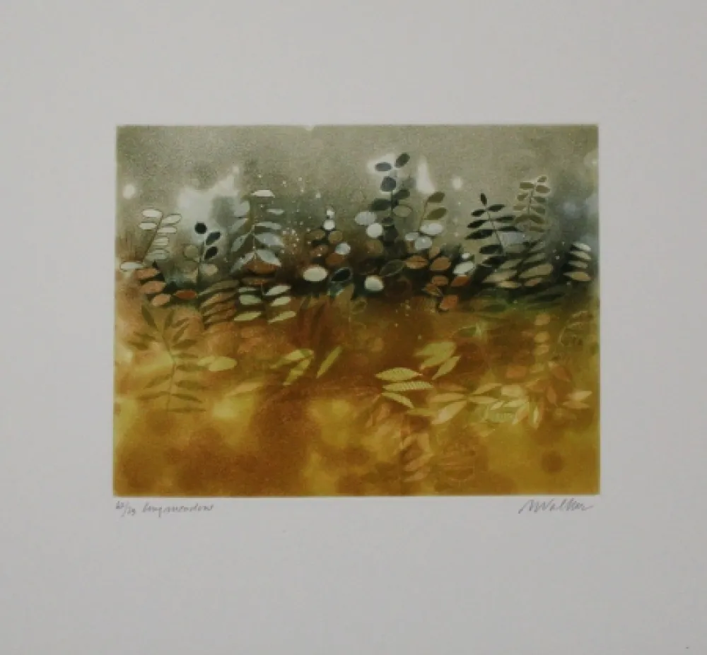 Água-Forte E Água-Tinta Walker - Longmeadow