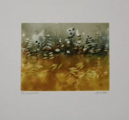 Água-Forte E Água-Tinta Walker - Longmeadow