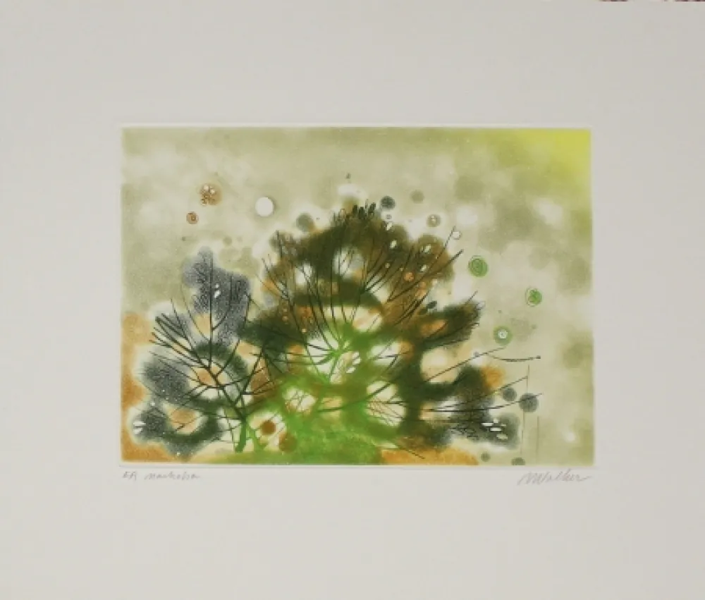 Água-Forte E Água-Tinta Walker - Marhoha