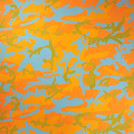 Serigrafia Warhol - Camouflage, II.413