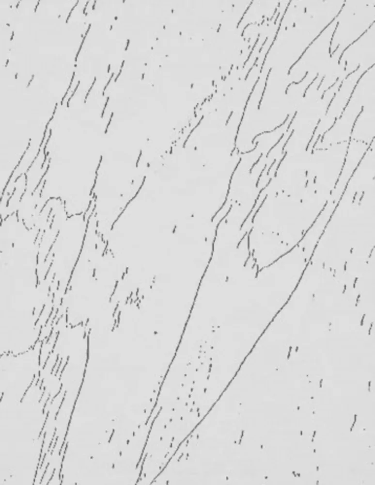 Múltiplo Warhol - Mao (Unique)