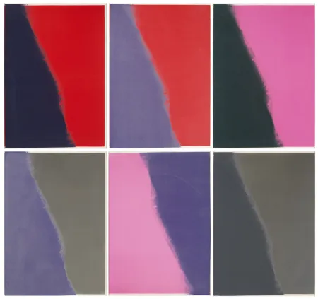Serigrafia Warhol - Shadows II Complete Portfolio (FS II.210-215)