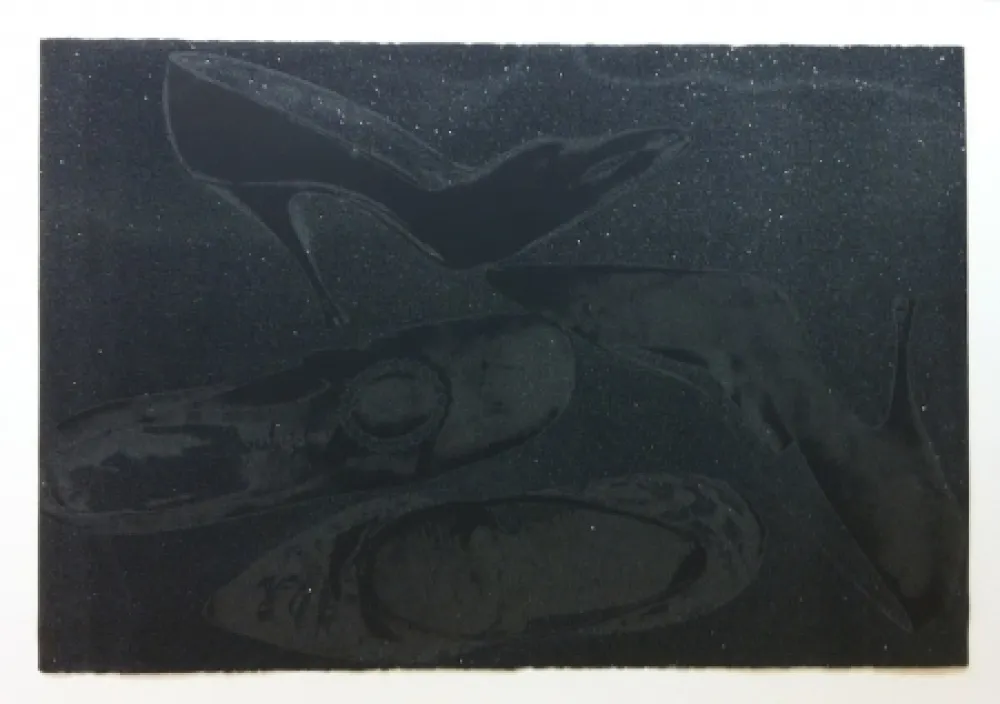 Serigrafia Warhol - Shoes II.248 (Deluxe Edition)