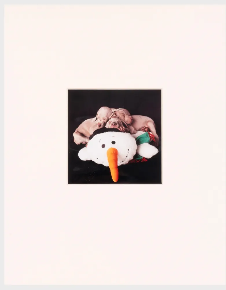 Fotografia Wegman - Three for One