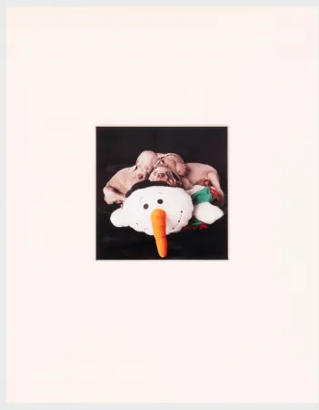 Fotografia Wegman - Three for One