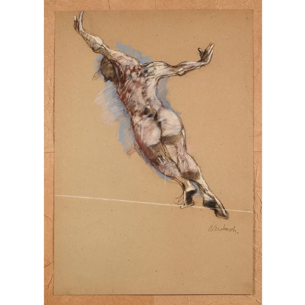 Sem Técnica Weisbuch - Le saut de l’ange