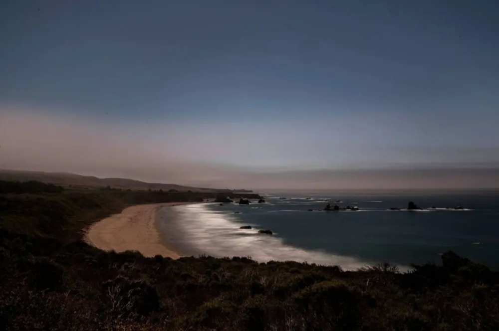 Fotografia Wesely - Arroyo Hondo Preserve