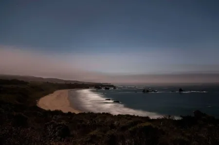 Fotografia Wesely - Arroyo Hondo Preserve