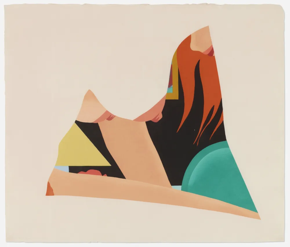 Xilogravura Wesselmann - Bedroom Dropout