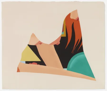Xilogravura Wesselmann - Bedroom Dropout