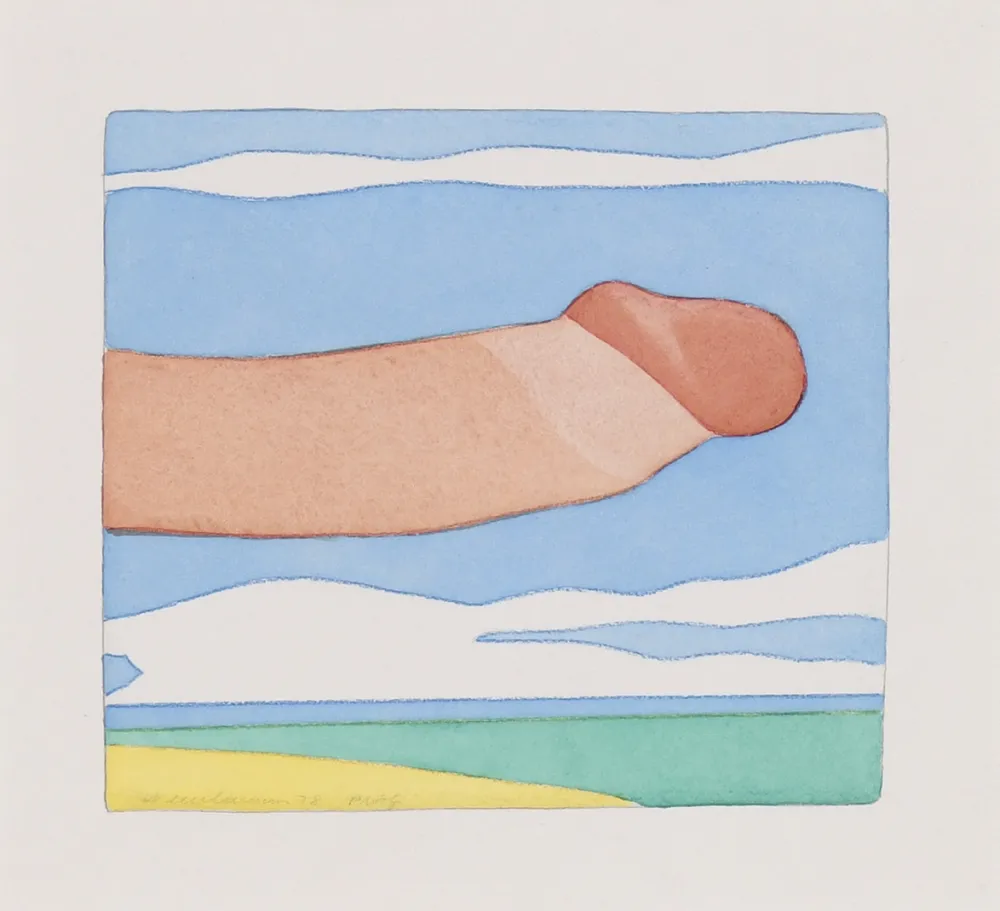 Sem Técnica Wesselmann - Seascape Penis