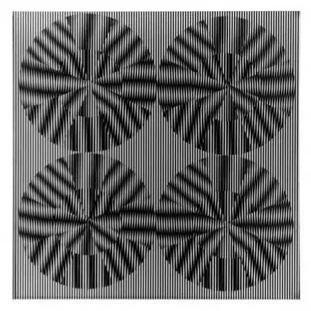 Múltiplo Wilding - SBT 2835