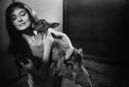 Fotografia Willoughby - Audrey Hepburn and deer