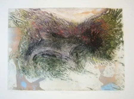 Gravura Witebsky - Metamorphose