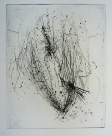 Gravura Wols - Akblute