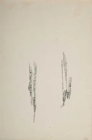 Sem Técnica Wols - Commencement d'un dessin