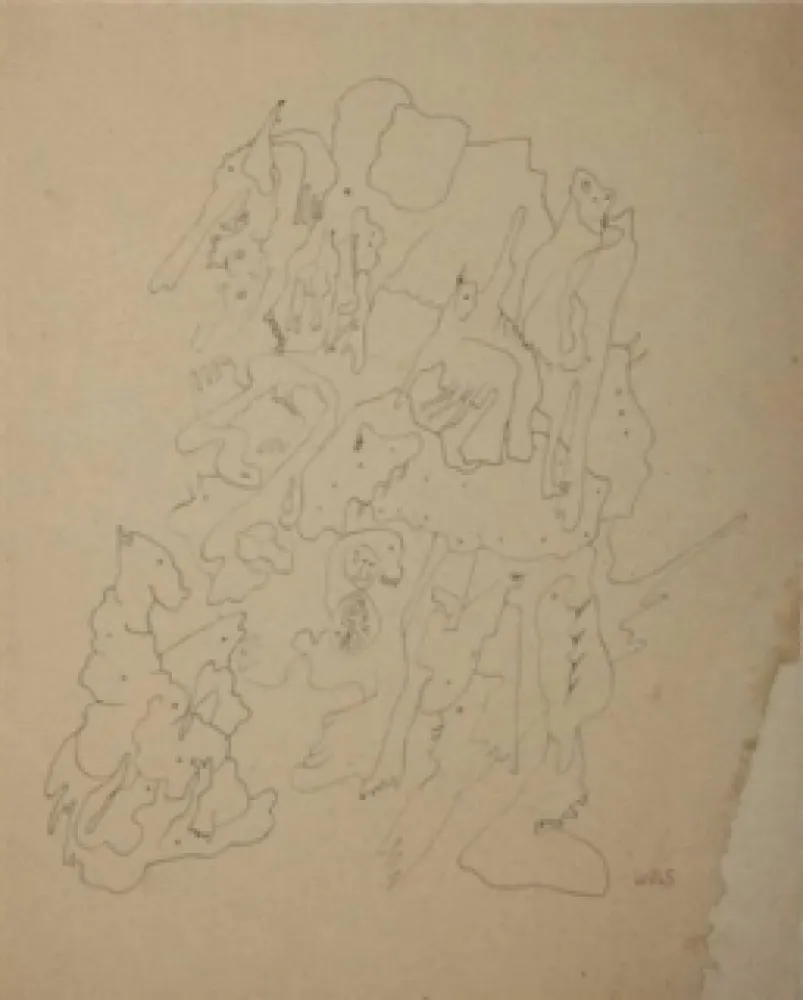 Sem Técnica Wols - Les rochers du zoo