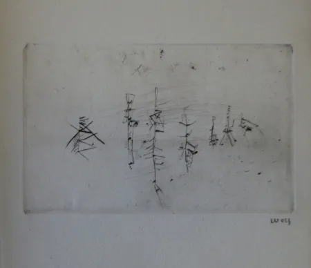 Livro Ilustrado Wols - L'invité des morts