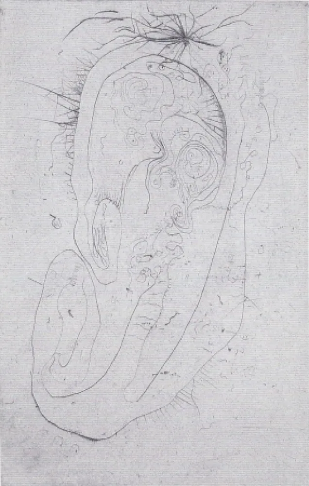 Livro Ilustrado Wols - Naturelles