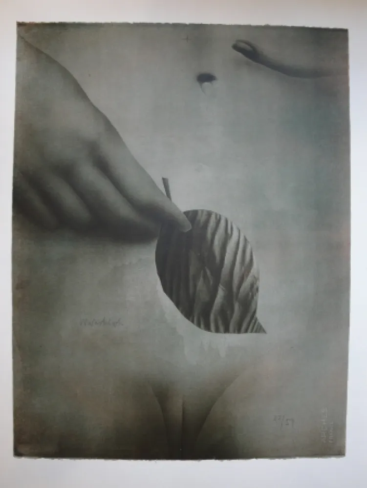 Litografia Wunderlich - Das Blatt