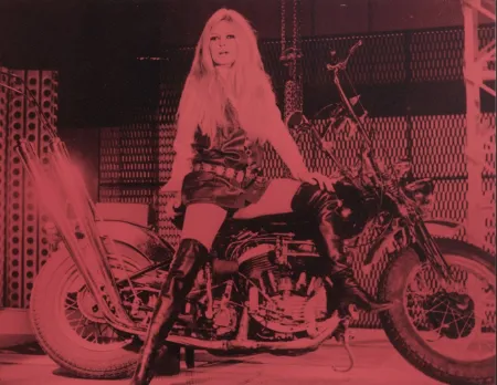 Múltiplo Young - Bridgitte Bardot Pink