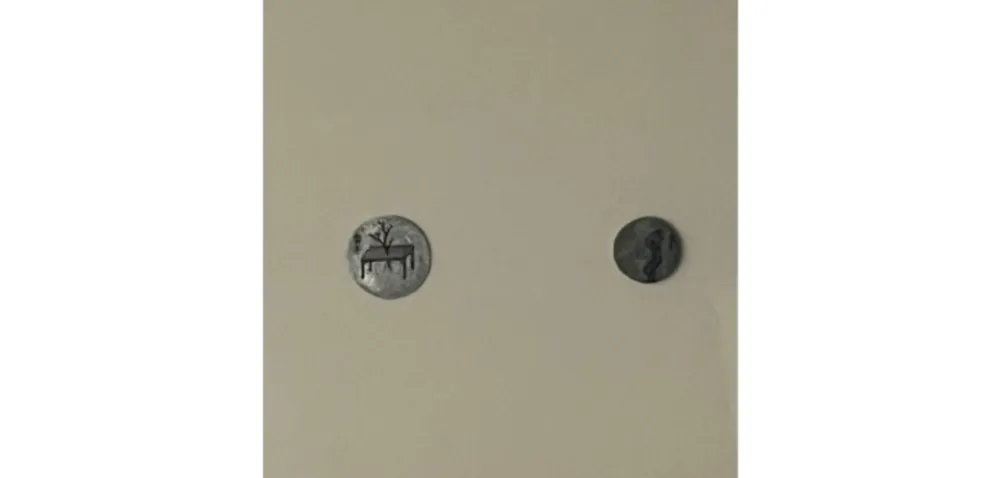 Múltiplo Youyu - Star Album 3