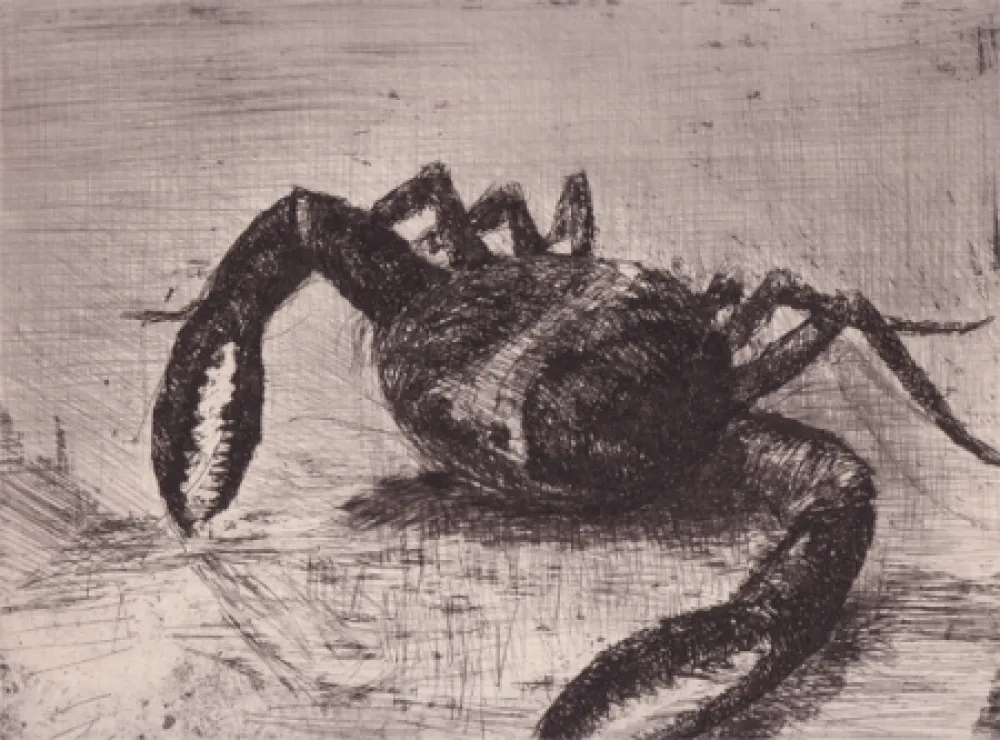 Livro Ilustrado Zamorano De Biedma - Bestiaire